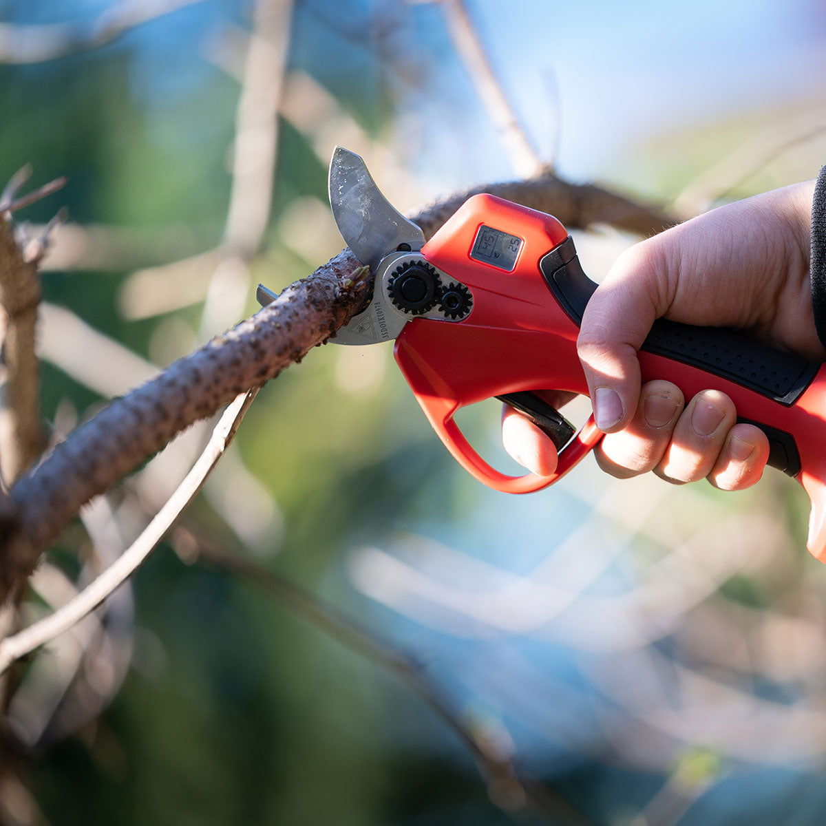 (¡¡¡40% DE DESCUENTO !!! Promoción de Navidad) Tijeras de ramas eléctricas: facilite tu trabajo de jardinería